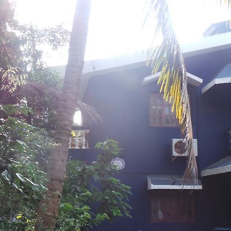 Alina Guest House Calangute Ngoại thất bức ảnh