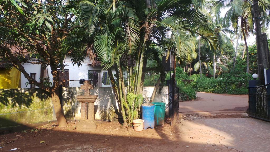 Alina Guest House Calangute Ngoại thất bức ảnh