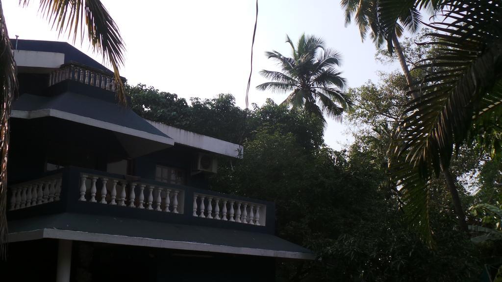 Alina Guest House Calangute Ngoại thất bức ảnh