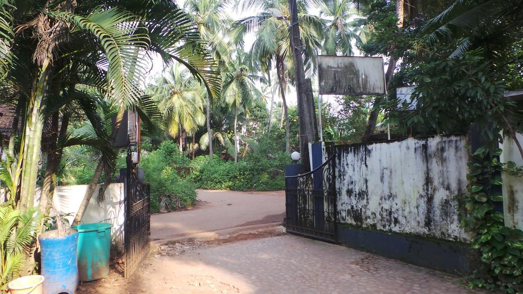 Alina Guest House Calangute Ngoại thất bức ảnh